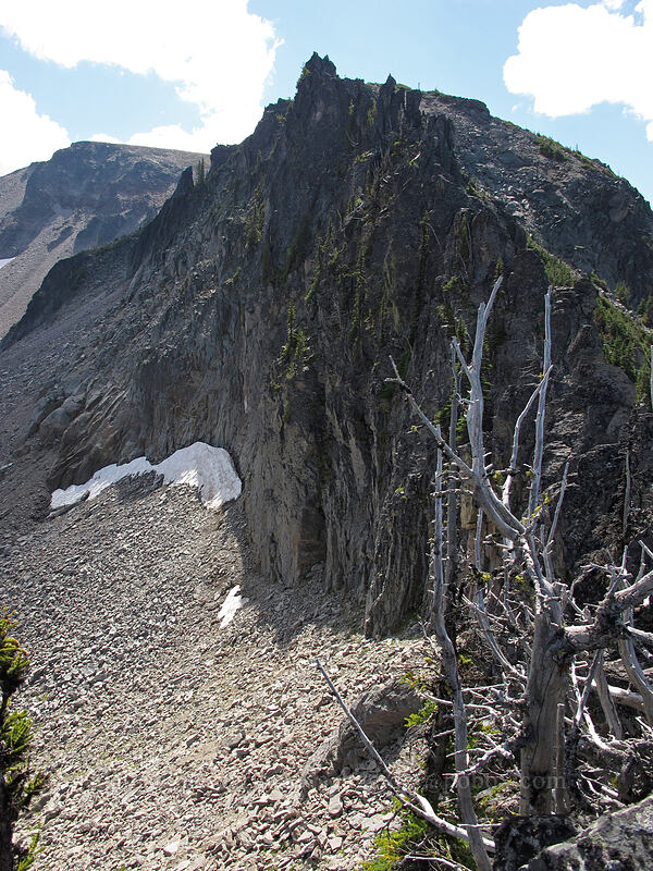 east side of the ridge between Burroughs Mountain & Skyscraper Mountain [Burroughs-Skyscraper ridge, Mount Rainier National Park, Pierce County, Washington]