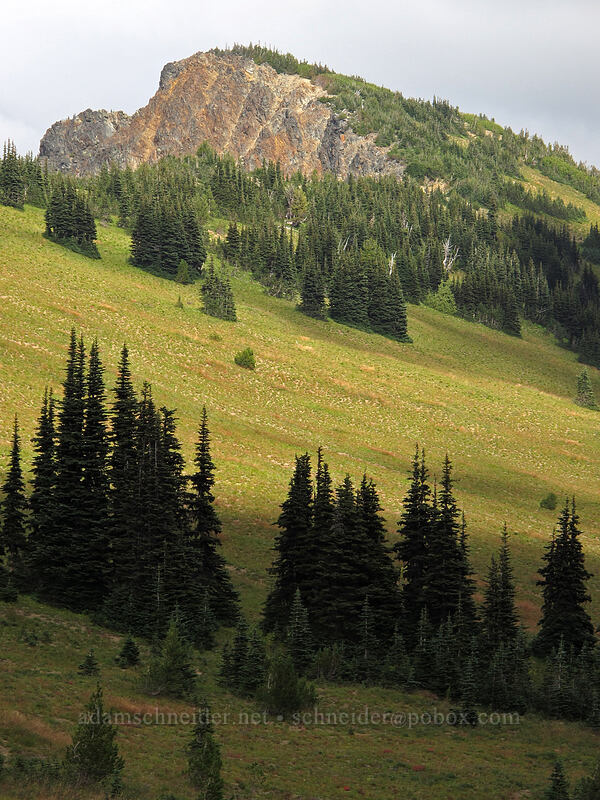 Antler Peak [Sunrise, Mount Rainier National Park, Pierce County, Washington]