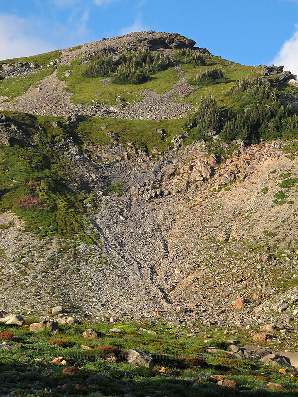 Panorama Point [Deadhorse Creek Trail, Mount Rainier National Park, Pierce County, Washington]