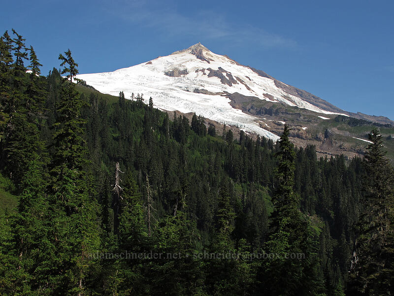 Mt. Baker [Scott Paul Trail, Mount Baker-Snoqualmie National Forest, Whatcom County, Washington]