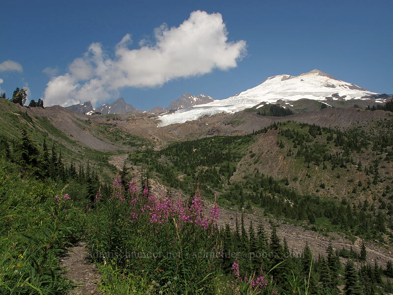 Mt. Baker & Easton Glacier [Scott Paul Trail, Mount Baker-Snoqualmie National Forest, Whatcom County, Washington]