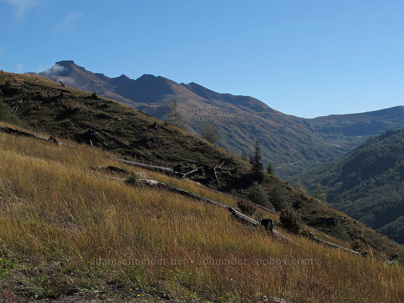 Coldwater Peak [South Coldwater Trail, Mt. St. Helens National Volcanic Monument, Cowlitz County, Washington]