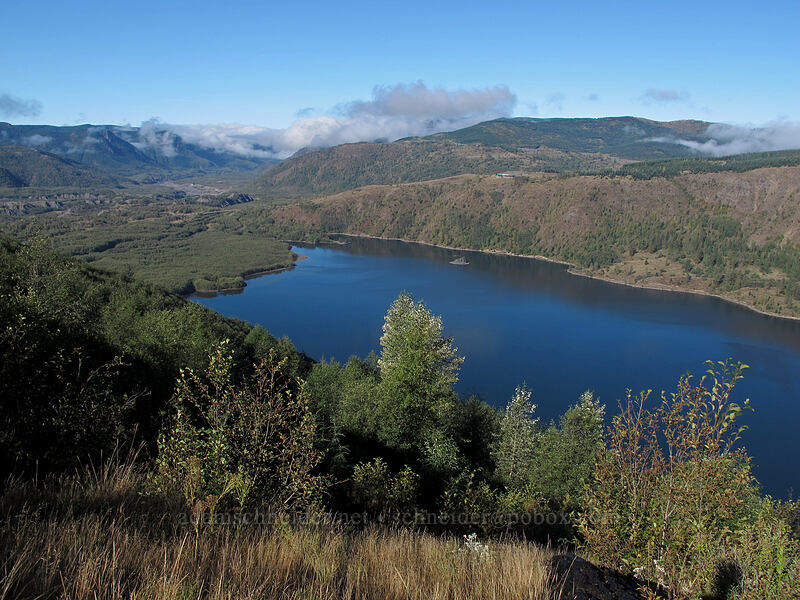 Coldwater Lake [South Coldwater Trail, Mt. St. Helens National Volcanic Monument, Skamania County, Washington]