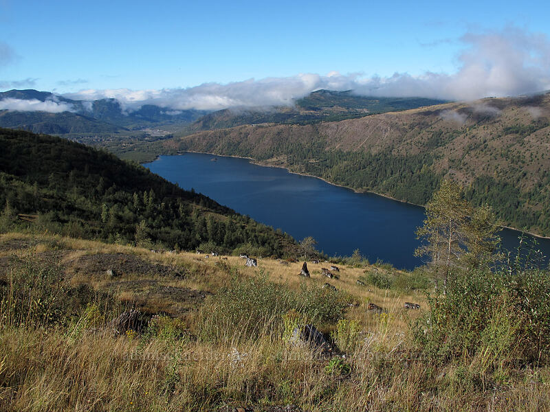 Coldwater Lake [South Coldwater Trail, Mt. St. Helens National Volcanic Monument, Skamania County, Washington]