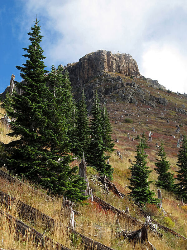 Coldwater Peak [Coldwater Trail, Mt. St. Helens National Volcanic Monument, Skamania County, Washington]