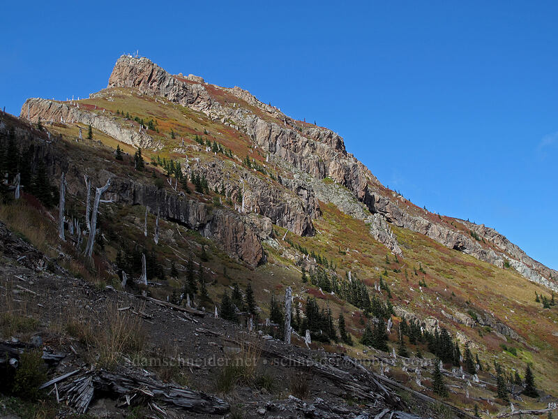 Coldwater Peak [Boundary Trail, Mt. St. Helens National Volcanic Monument, Skamania County, Washington]