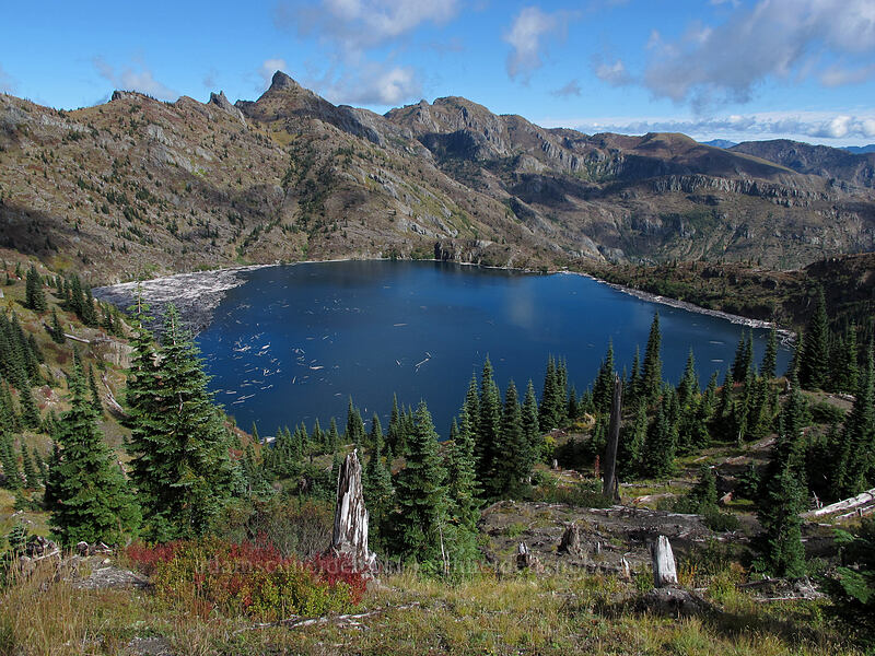 St. Helens Lake [Boundary Trail, Mt. St. Helens National Volcanic Monument, Skamania County, Washington]