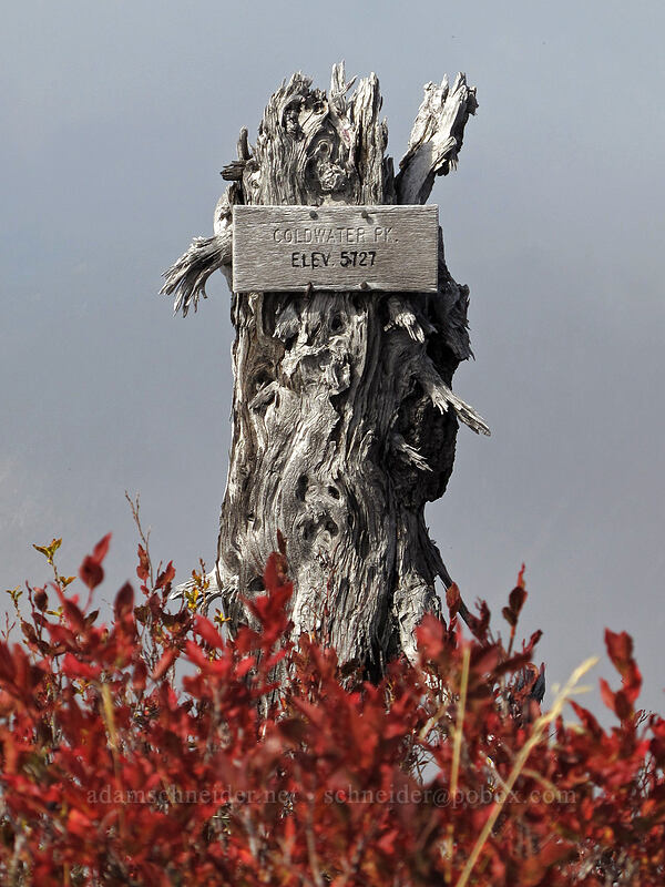 summit sign [Coldwater Peak, Mt. St. Helens National Volcanic Monument, Skamania County, Washington]