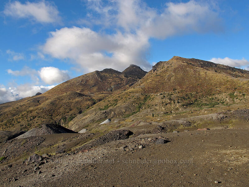 Coldwater Peak [Boundary Trail, Mt. St. Helens National Volcanic Monument, Skamania County, Washington]