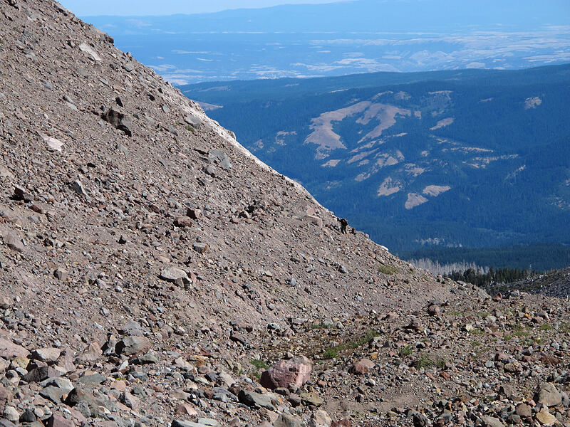 hiker tackling the west moraine head-on [Eliot Glacier, Mt. Hood Wilderness, Hood River County, Oregon]