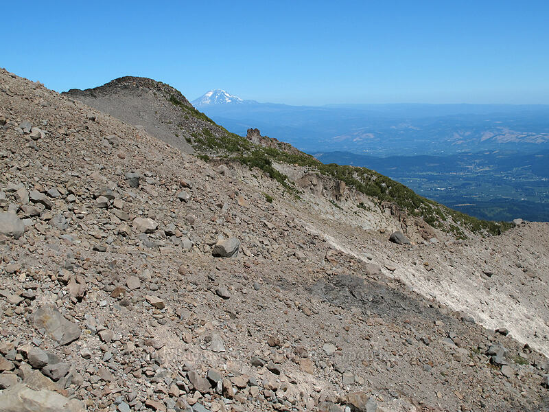 Langille Crags & Mt. Adams [Eliot Glacier, Mt. Hood Wilderness, Hood River County, Oregon]