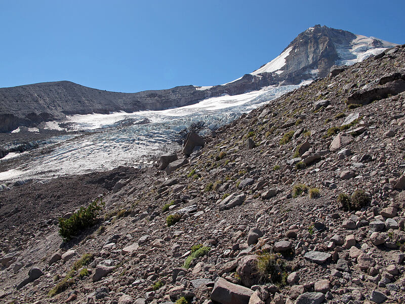 Eliot Glacier [Eliot Glacier moraine, Mt. Hood Wilderness, Hood River County, Oregon]