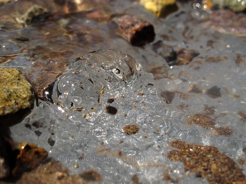 water coming up through ice [Eliot Glacier, Mt. Hood Wilderness, Hood River County, Oregon]