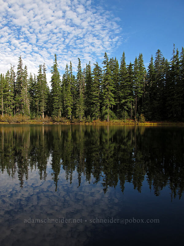 Dee Lake [Thomas Lake Trail, Indian Heaven Wilderness, Skamania County, Washington]
