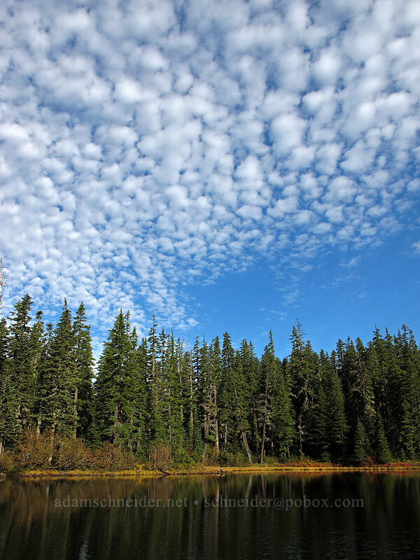 Heather Lake [Thomas Lake Trail, Indian Heaven Wilderness, Skamania County, Washington]