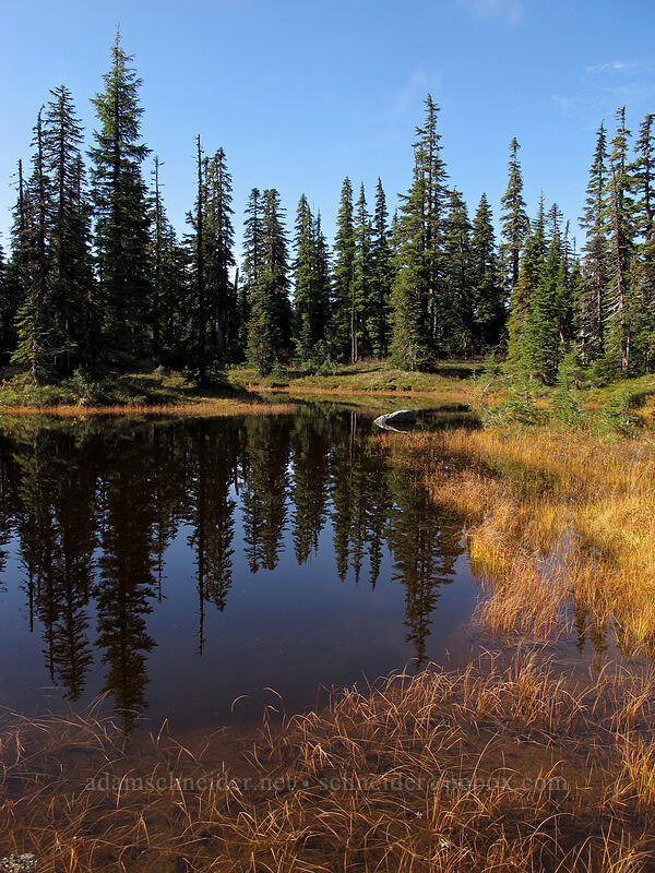 Rock Lake [west of East Crater, Indian Heaven Wilderness, Skamania County, Washington]