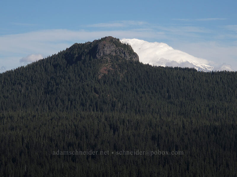 Lemei Rock & Mt. Adams [East Crater, Indian Heaven Wilderness, Skamania County, Washington]