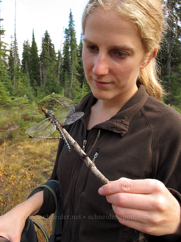 Ilona & a dragonfly (Rhionaeschna multicolor (Aeshna multicolor)) [Thomas Lake Trail, Indian Heaven Wilderness, Skamania County, Washington]