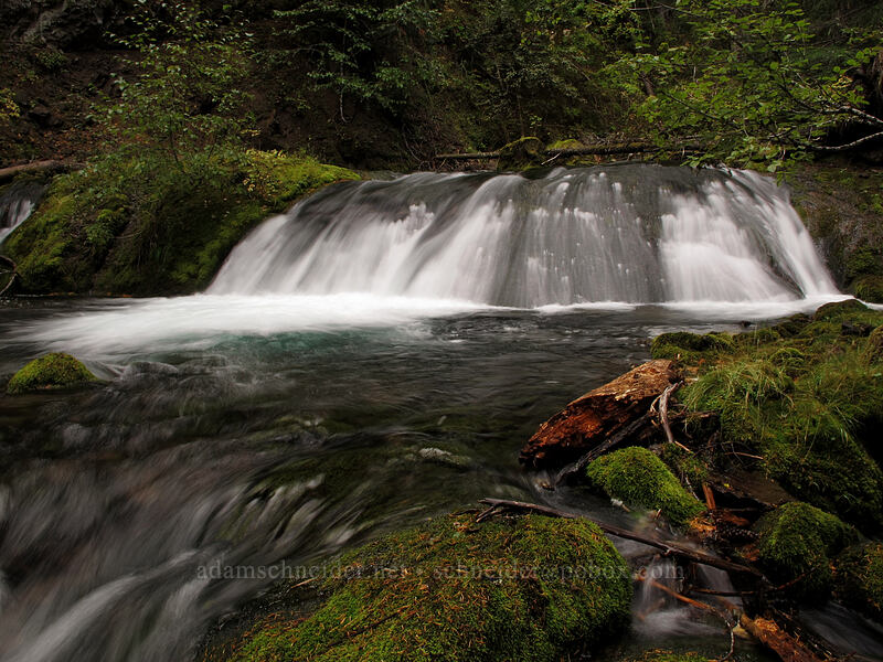 Cold Spring Creek [Tamanawas Falls Trail, Mt. Hood National Forest, Hood River County, Oregon]