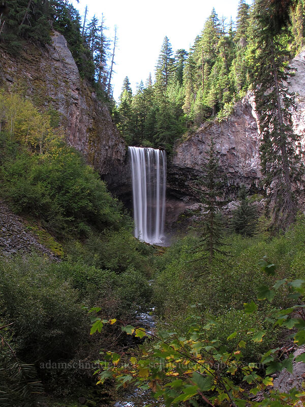 Tamanawas Falls [Tamanawas Falls Trail, Mt. Hood National Forest, Hood River County, Oregon]