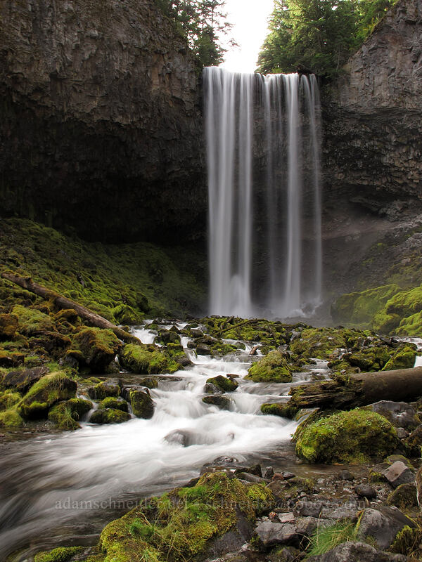 Tamanawas Falls [Tamanawas Falls Trail, Mt. Hood National Forest, Hood River County, Oregon]