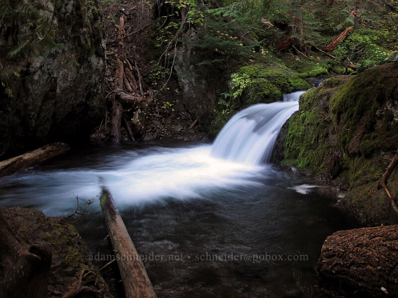 Cold Spring Creek [Tamanawas Falls Trail, Mt. Hood National Forest, Hood River County, Oregon]