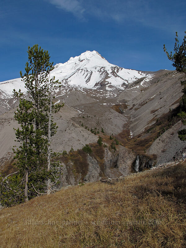 Mount Hood & Dryer Falls [above White River Canyon, Mt. Hood National Forest, Hood River County, Oregon]