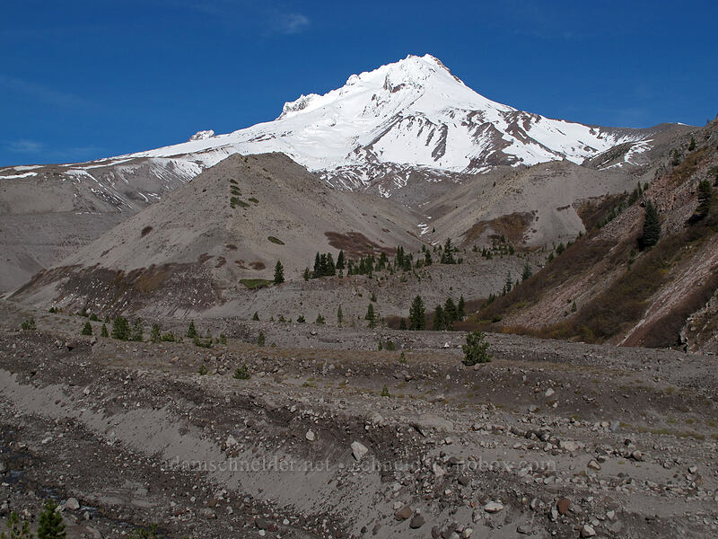 White River Canyon [Timberline Trail, Richard L. Kohnstamm Wilderness, Hood River County, Oregon]