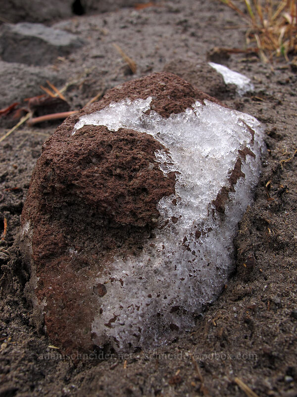 icy rock [Timberline Trail, Richard L. Kohnstamm Wilderness, Hood River County, Oregon]