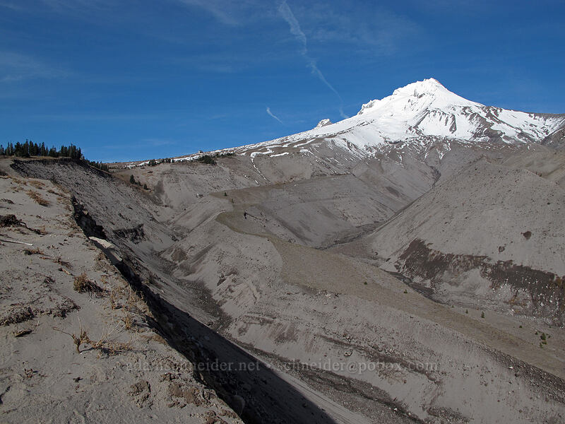 Mount Hood & White River Canyon [Timberline Trail, Richard L. Kohnstamm Wilderness, Hood River County, Oregon]