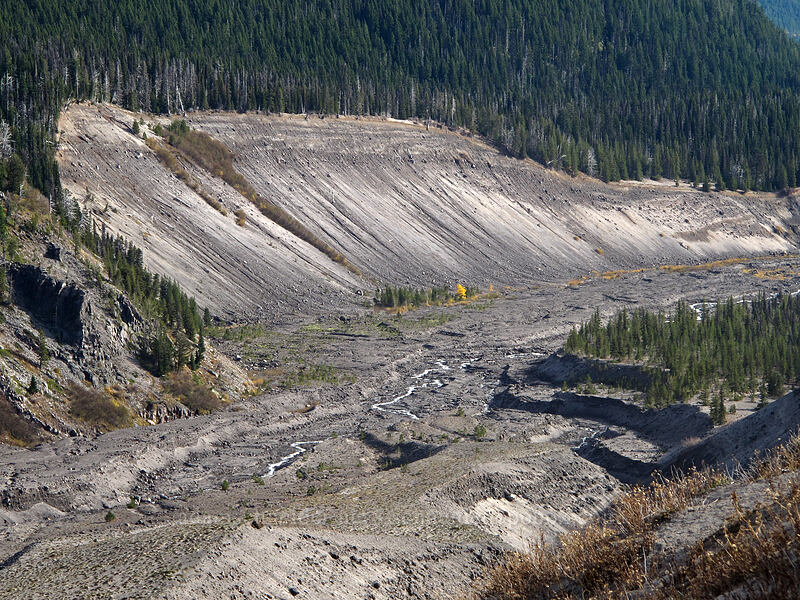 White River Canyon [Timberline Trail, Mt. Hood National Forest, Hood River County, Oregon]