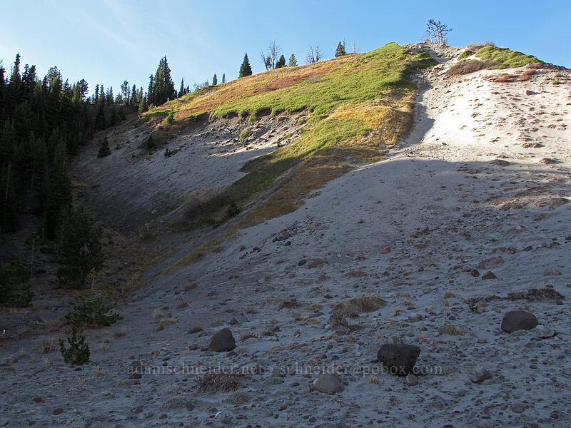 shortcut [Timberline Trail, Mt. Hood National Forest, Hood River County, Oregon]