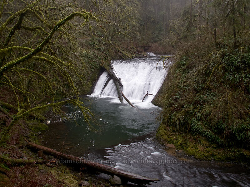 Lower North Falls [Canyon Trail, Silver Falls State Park, Marion County, Oregon]