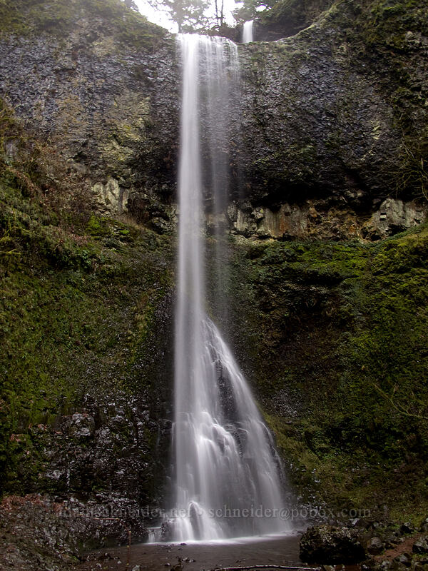 Double Falls [Canyon Trail, Silver Falls State Park, Marion County, Oregon]