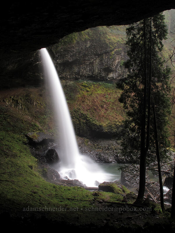 North Falls [Canyon Trail, Silver Falls State Park, Marion County, Oregon]