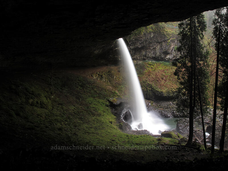 North Falls [Canyon Trail, Silver Falls State Park, Marion County, Oregon]