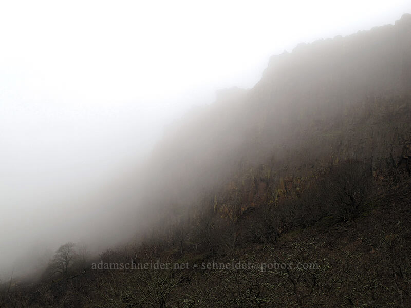 fog & Coyote Wall [Coyote Wall, Klickitat County, Washington]
