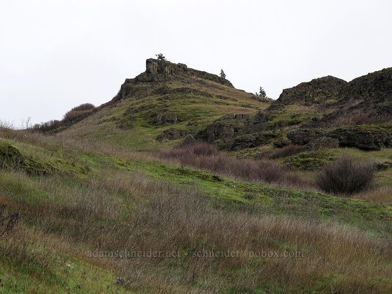 basalt cliffs [Coyote Wall, Klickitat County, Washington]