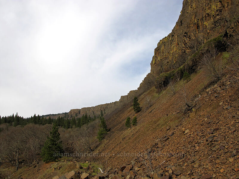 Coyote Wall [Coyote Wall, Klickitat County, Washington]