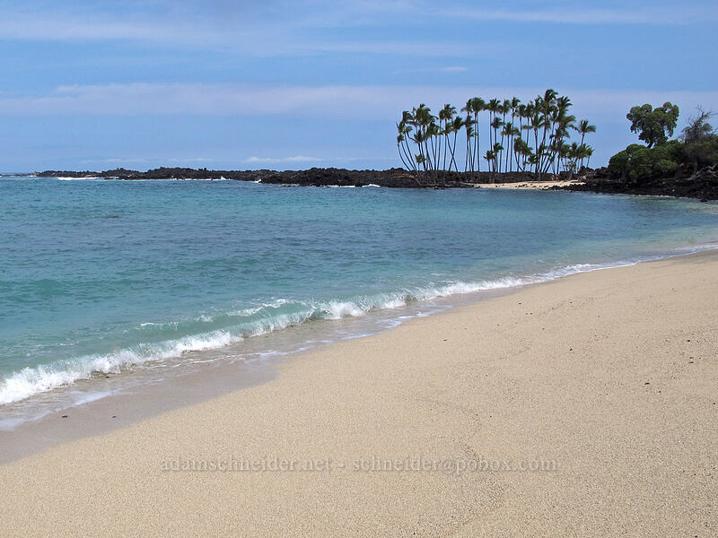 palm trees at Mahai'ula Beach [Mahai'ula Bay, Kekaha Kai State Park, Big Island, Hawaii]
