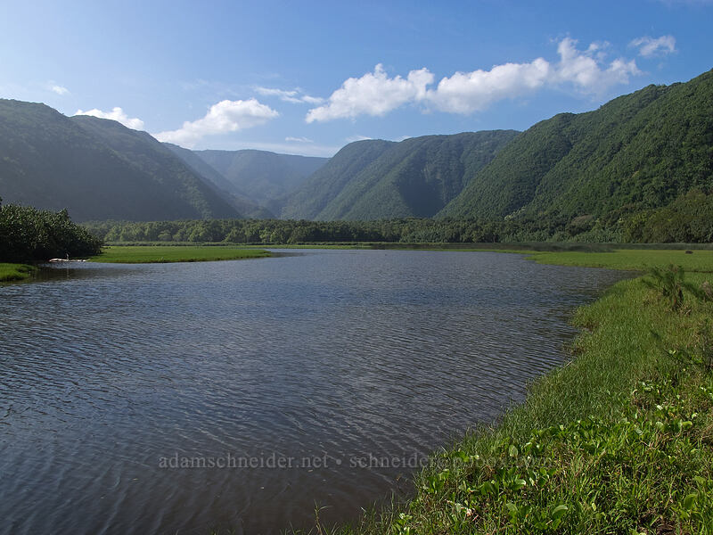 Pololu Valley [Pololu Trail, Kohala Forest Reserve, Big Island, Hawaii]