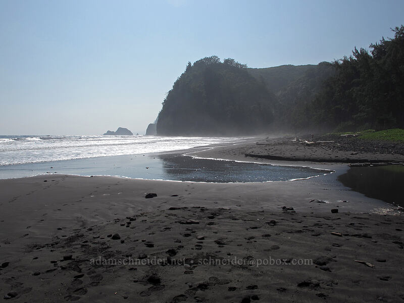 mouth of Pololu Stream [Pololu Trail, Kohala Forest Reserve, Big Island, Hawaii]