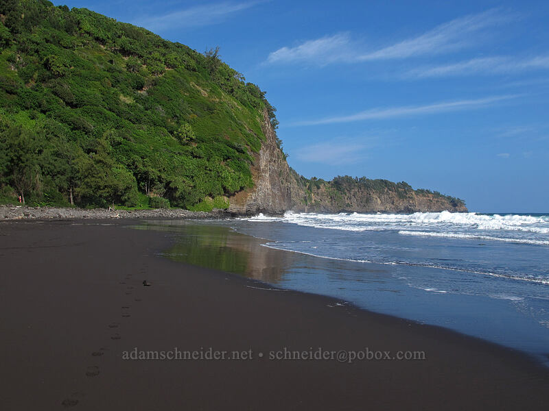 cliffs west of Pololu Beach [Pololu Trail, Kohala Forest Reserve, Big Island, Hawaii]