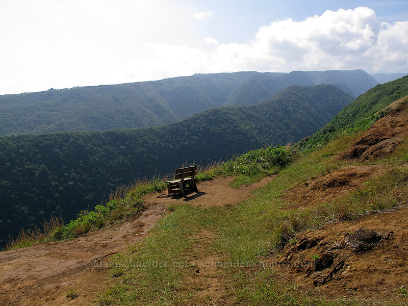 bench overlooking Honokane Nui [Pololu Trail, Kohala Forest Reserve, Big Island, Hawaii]