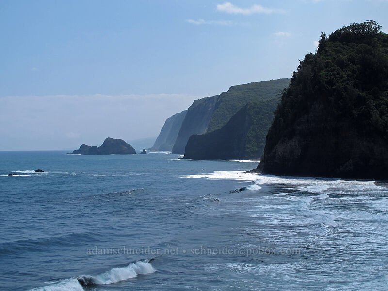 shoreline beyond Pololu [Pololu Trail, Kohala Forest Reserve, Big Island, Hawaii]