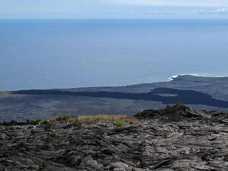 dark 1969 lava flow [Chain of Craters Road, Hawaii Volcanoes National Park, Big Island, Hawaii]