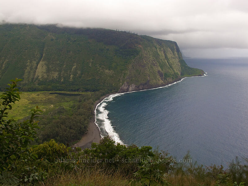 Waipi'o Valley [Waipi'o Overlook, Waipi'o, Big Island, Hawaii]