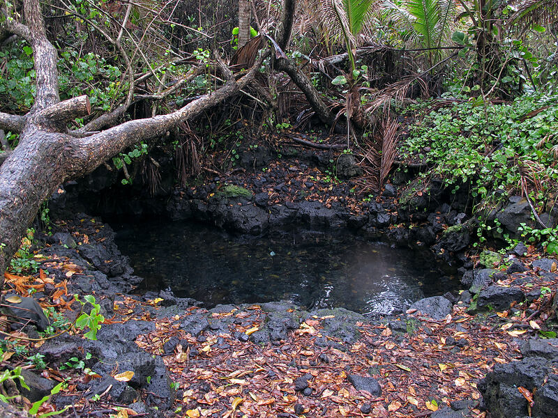 Pohoiki warm spring [Isaac Hale Park, Puna District, Big Island, Hawaii]