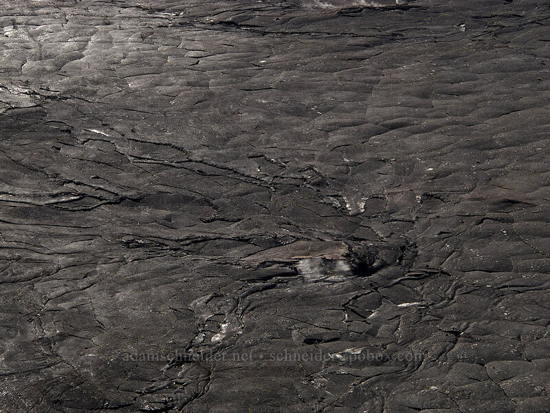 floor of Kilauea Iki crater [Kilauea Iki Trail, Hawaii Volcanoes National Park, Big Island, Hawaii]