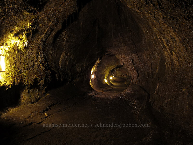 lava tube [Thurston Lava Tube, Hawaii Volcanoes National Park, Big Island, Hawaii]